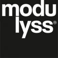 logo-modulyss